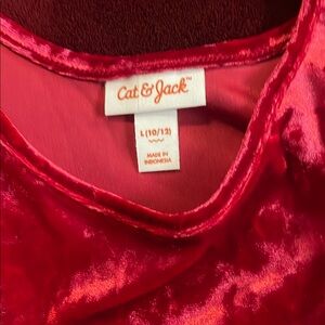 Cat & Jack Vibrant Red Velvet/tulle dress